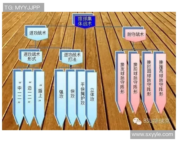 杭州排球队整体压制战术解析与实战应用探讨