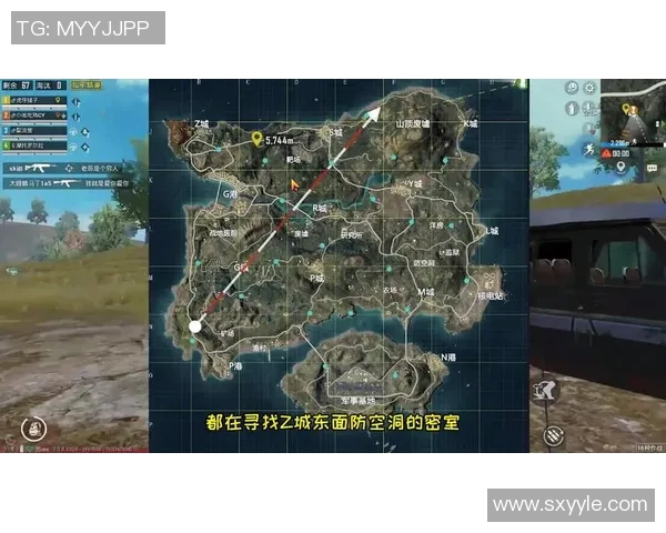 揭秘和平精英成功背后的故事与杨伟的独特见解