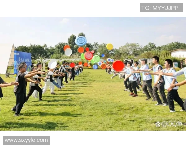 深圳飞盘队荣登最新灵活性排行榜前列引领飞盘热潮