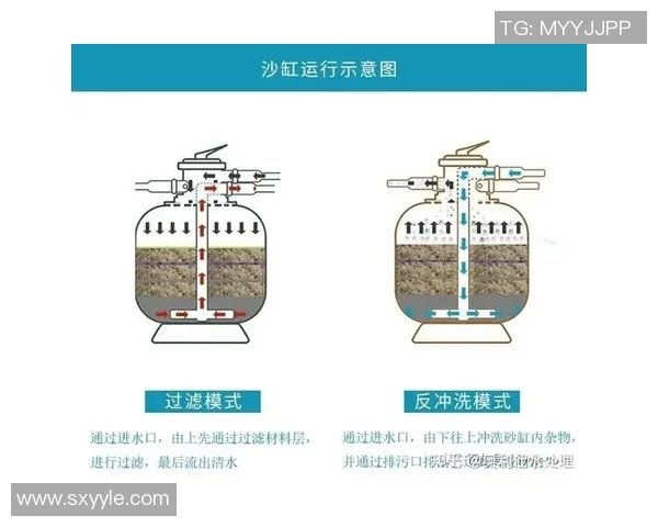 高效泳池清洁方法揭秘，打造晶莹透亮泳池的最佳实践和技巧