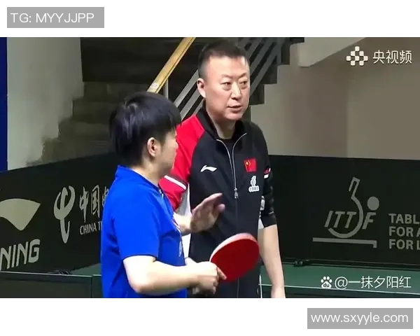 乒乓球的魅力与精神：深入了解成都乒乓球队的训练与理念