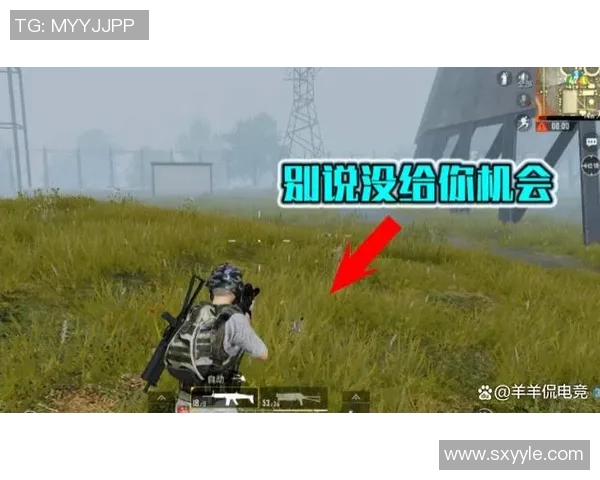 和平精英战术分析：深入探讨WE战队的进攻策略与执行细节