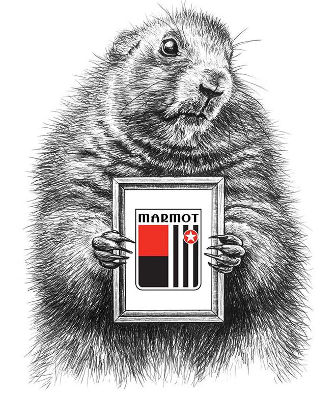 乐鱼体育2025环球10大最好自行车品牌排行榜MARMOT土拨鼠(图1)